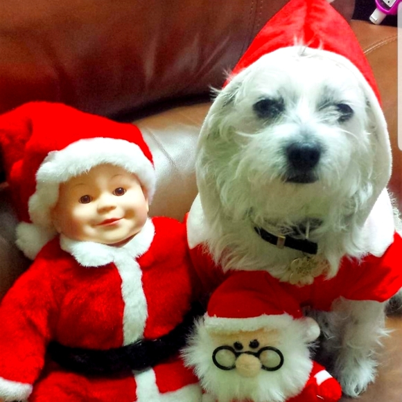 Meet your Posher, Chie - Picture 1 of 1